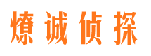 月湖市婚外情调查